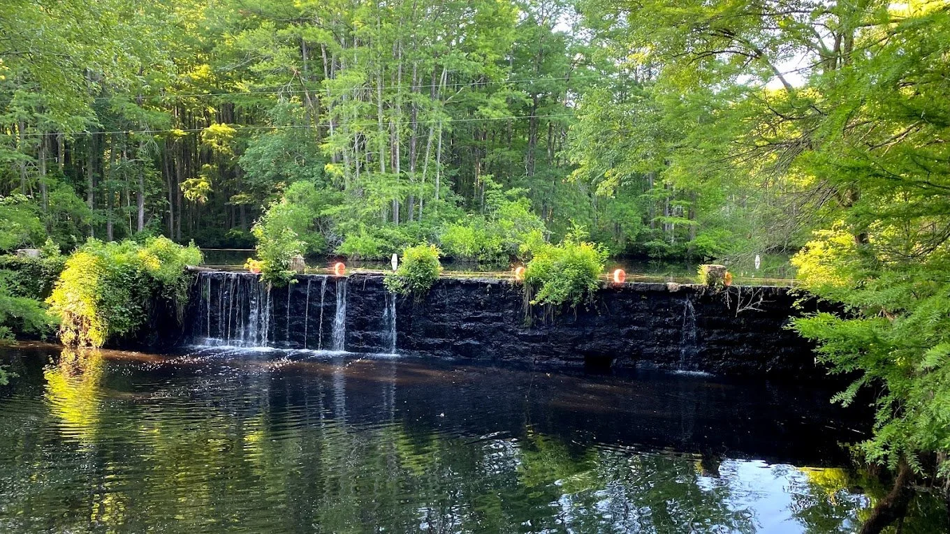 Robertson Millpond Preserve