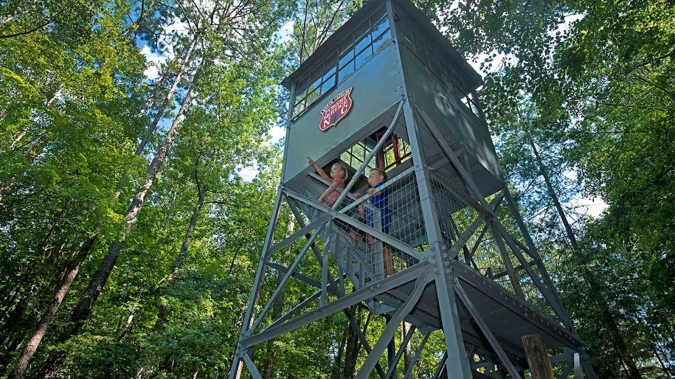 Clemons Educational Forest