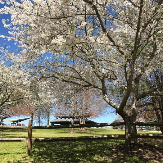 Garner Recreational Park