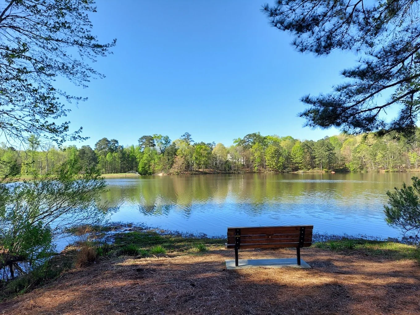 Apex Community Park