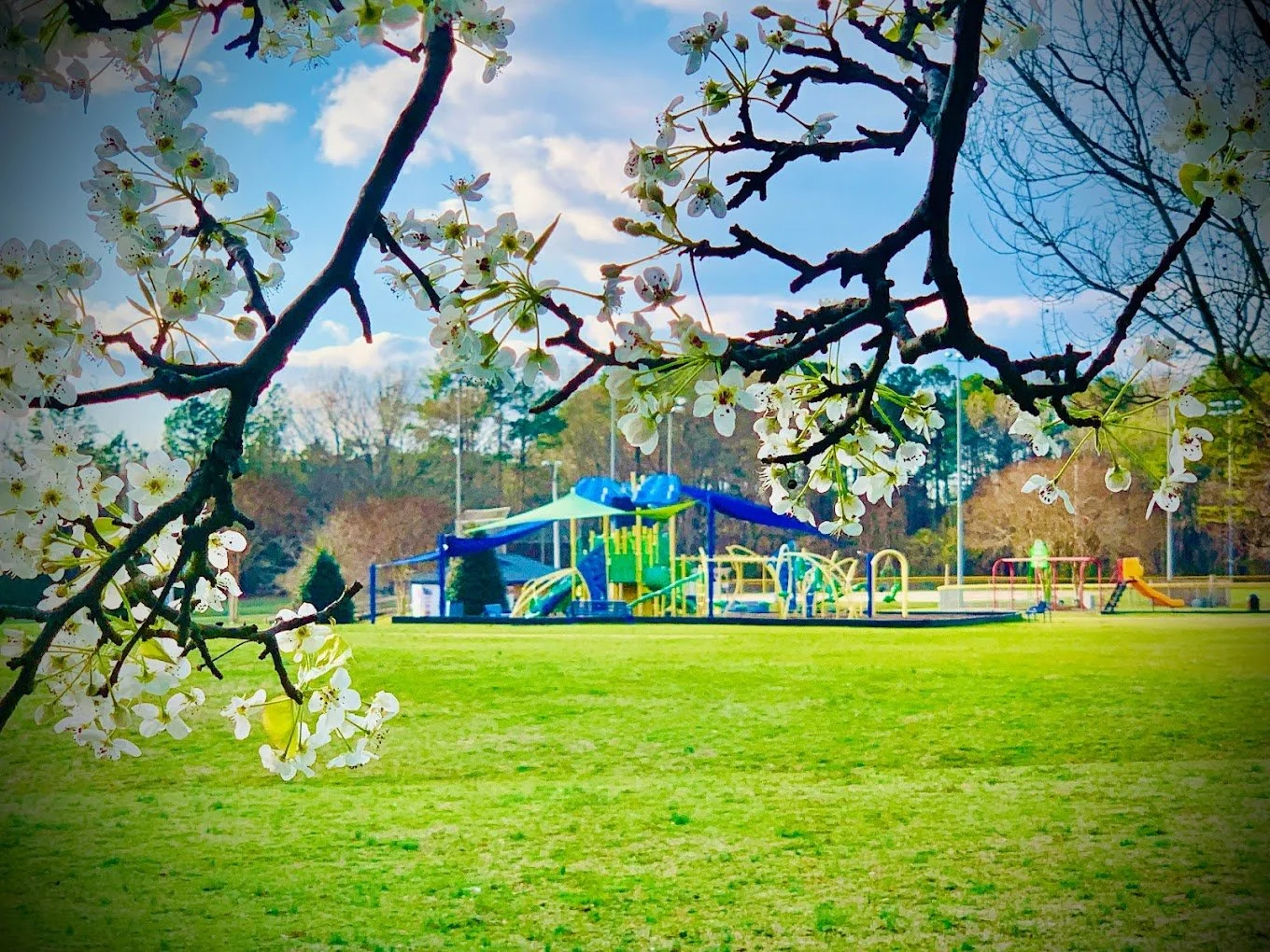Wendell Town Park