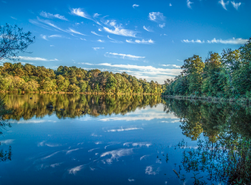 Bass Lake Park