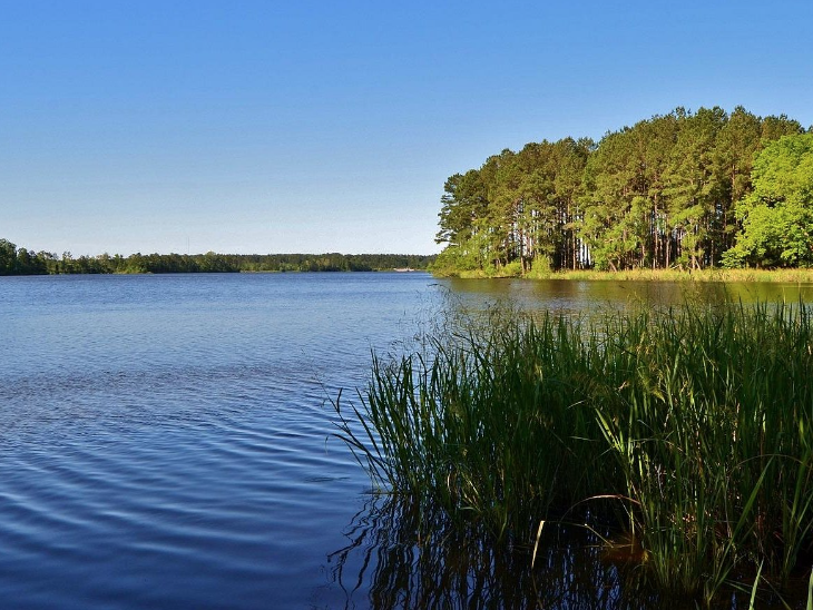Shearon Harris Lake