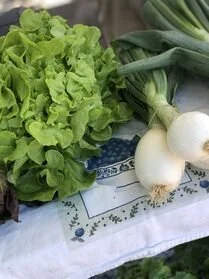 Clayton Farm + Community Market