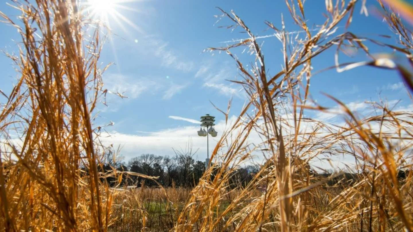 Horseshoe Farm Nature Preserve