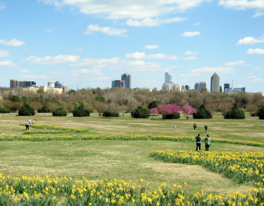 Dorothea Dix Park