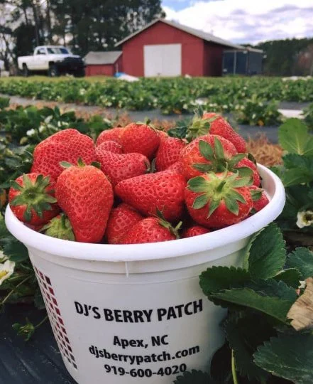 DJ's Berry Patch (Seasonal)