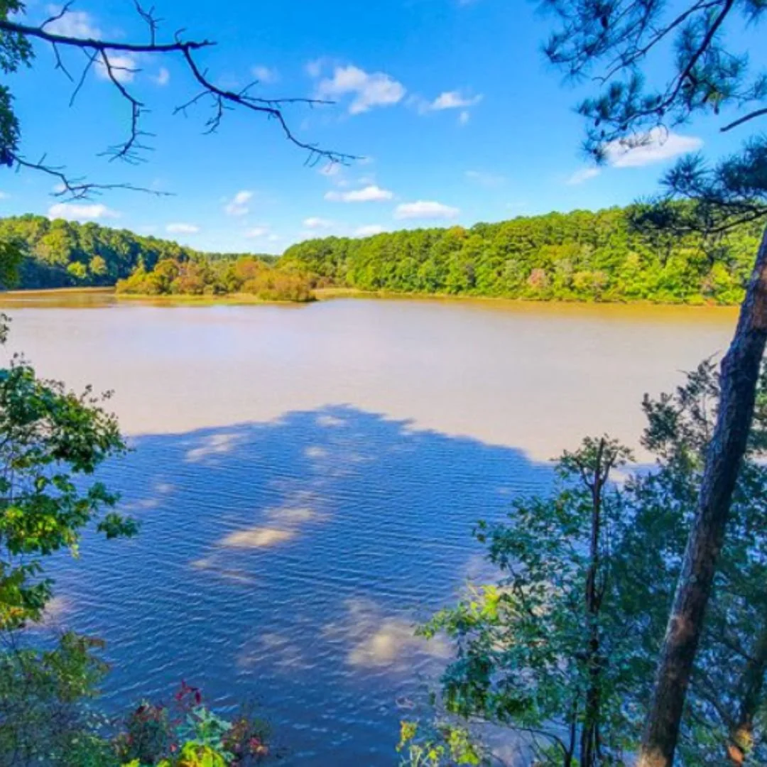 Falls Lake