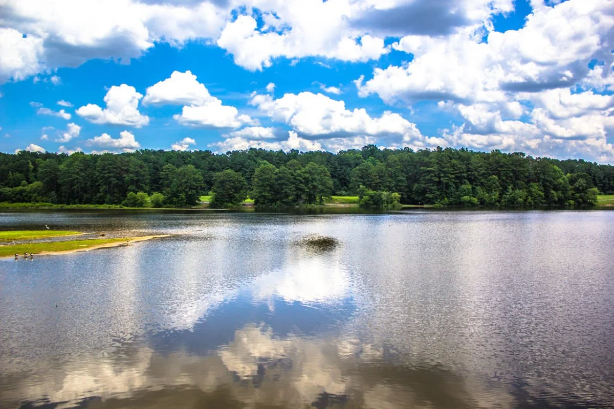 Shelley Lake Park
