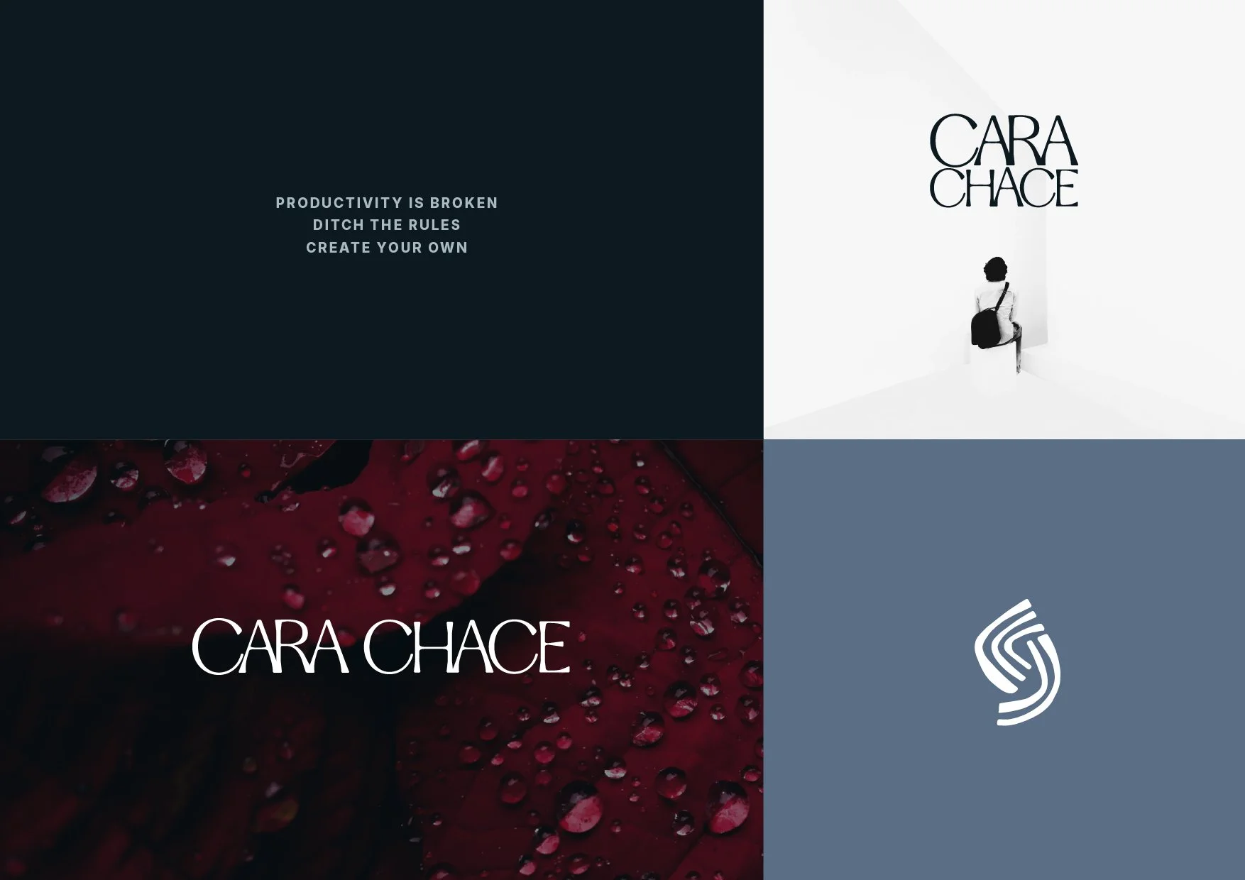 cara chace branding 2-03.jpg