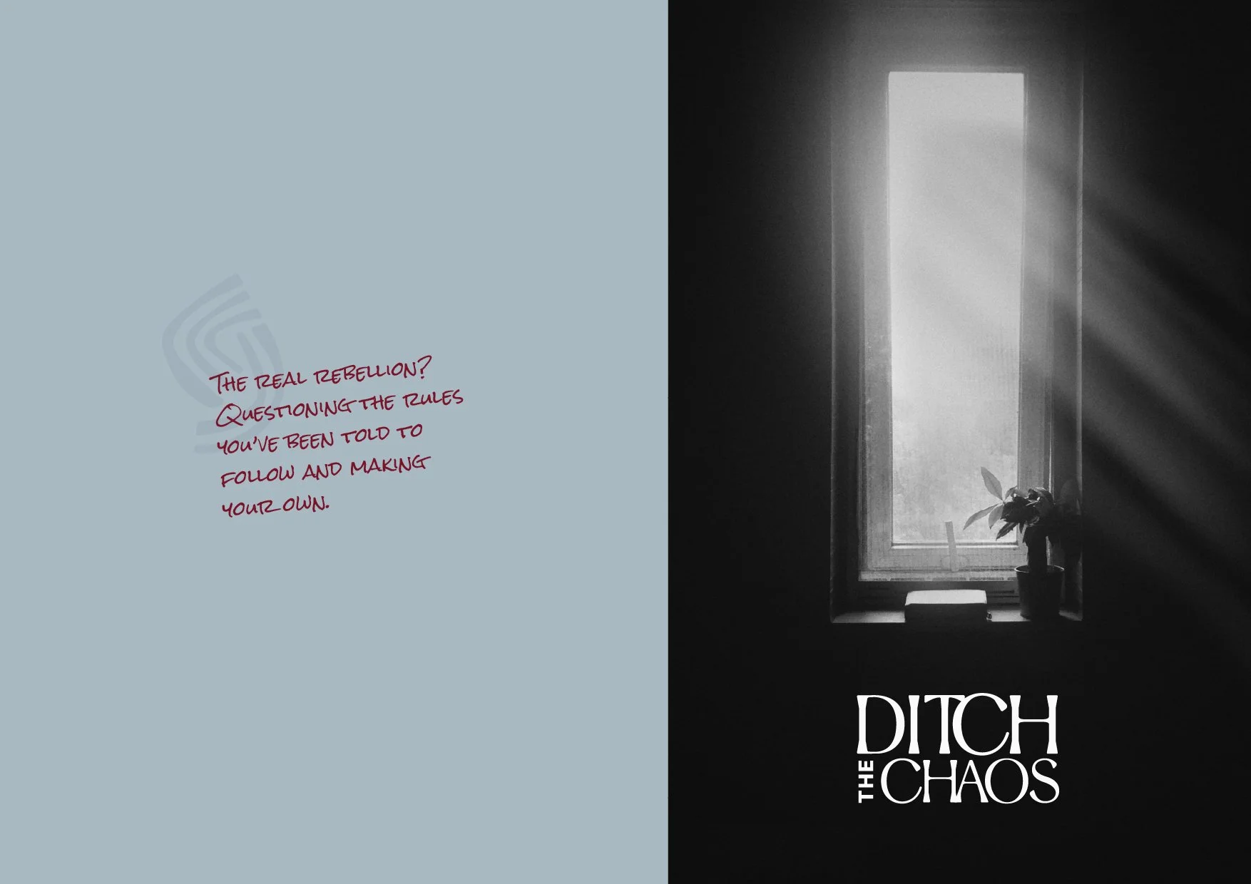 cara chace rebrand 4.jpg