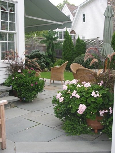 Patio and plantings.jpg