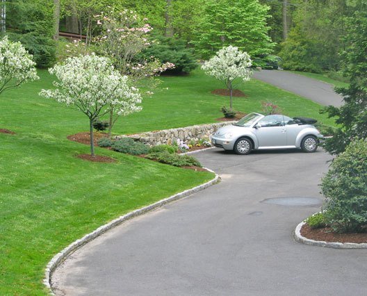 Expanded parking area and installed flowering trees.jpg