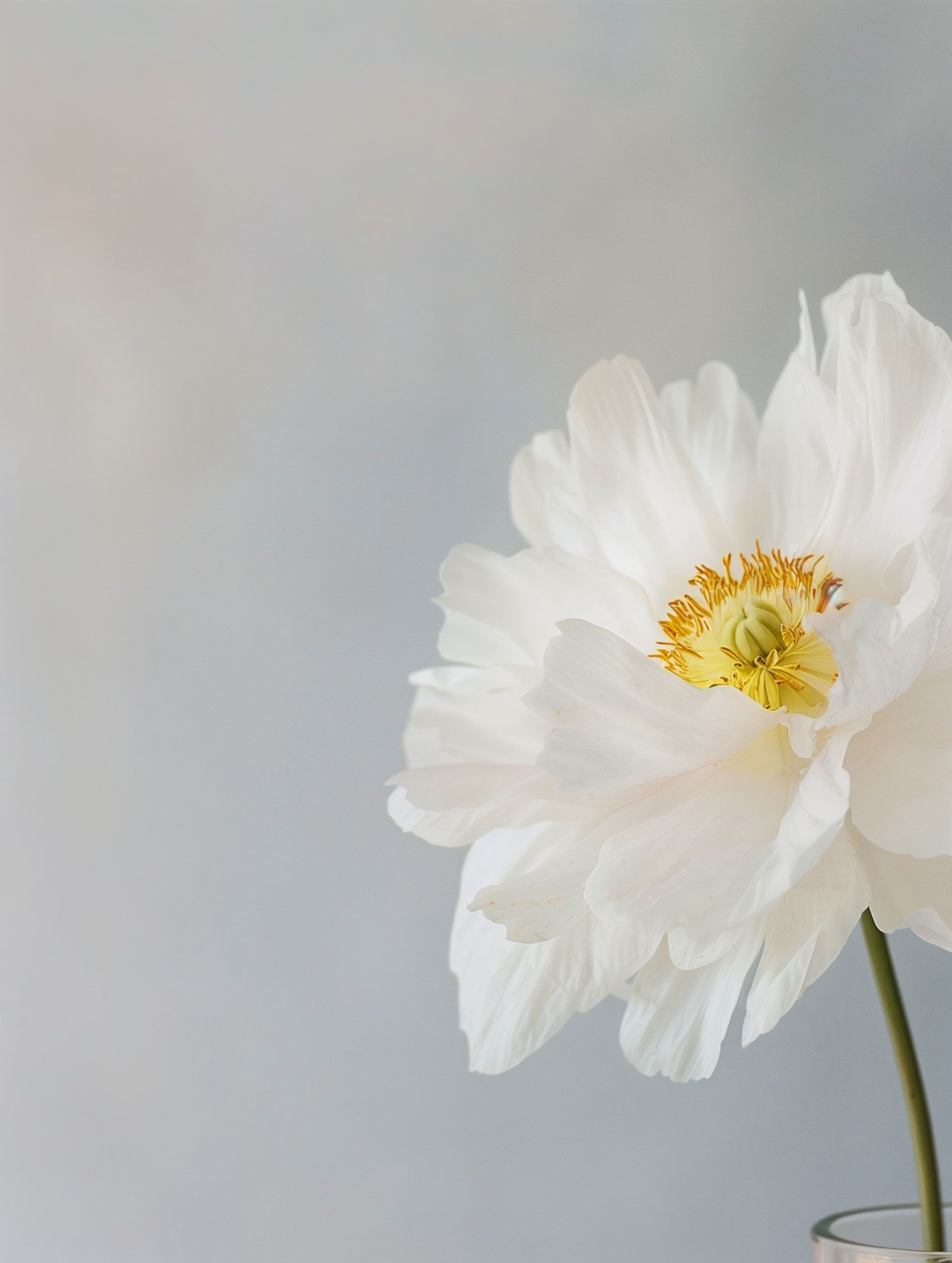 Caregiver Burnout, Guilt, and the Loss of Self