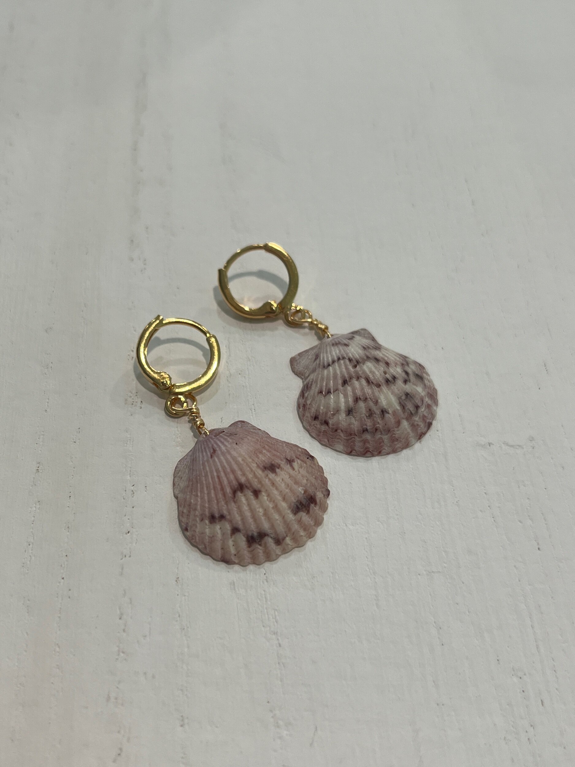 Seashell Hoops