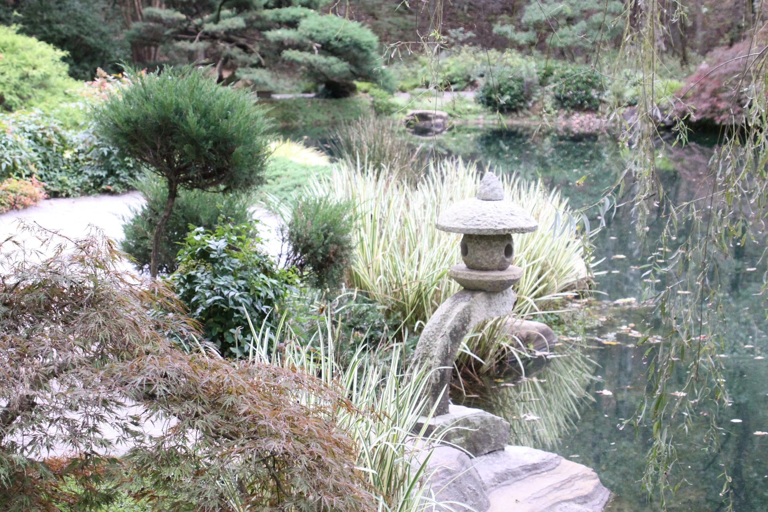 Gibbs Garden Trio 5 x 7 in $65 (includes 3 framed photos) 