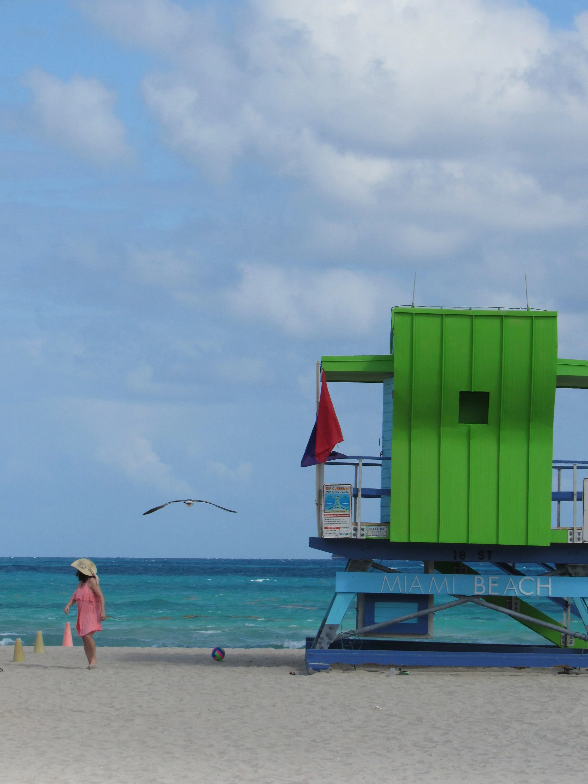 Seagull Approach, Miami Beach, FL 
14 x 11 in $225