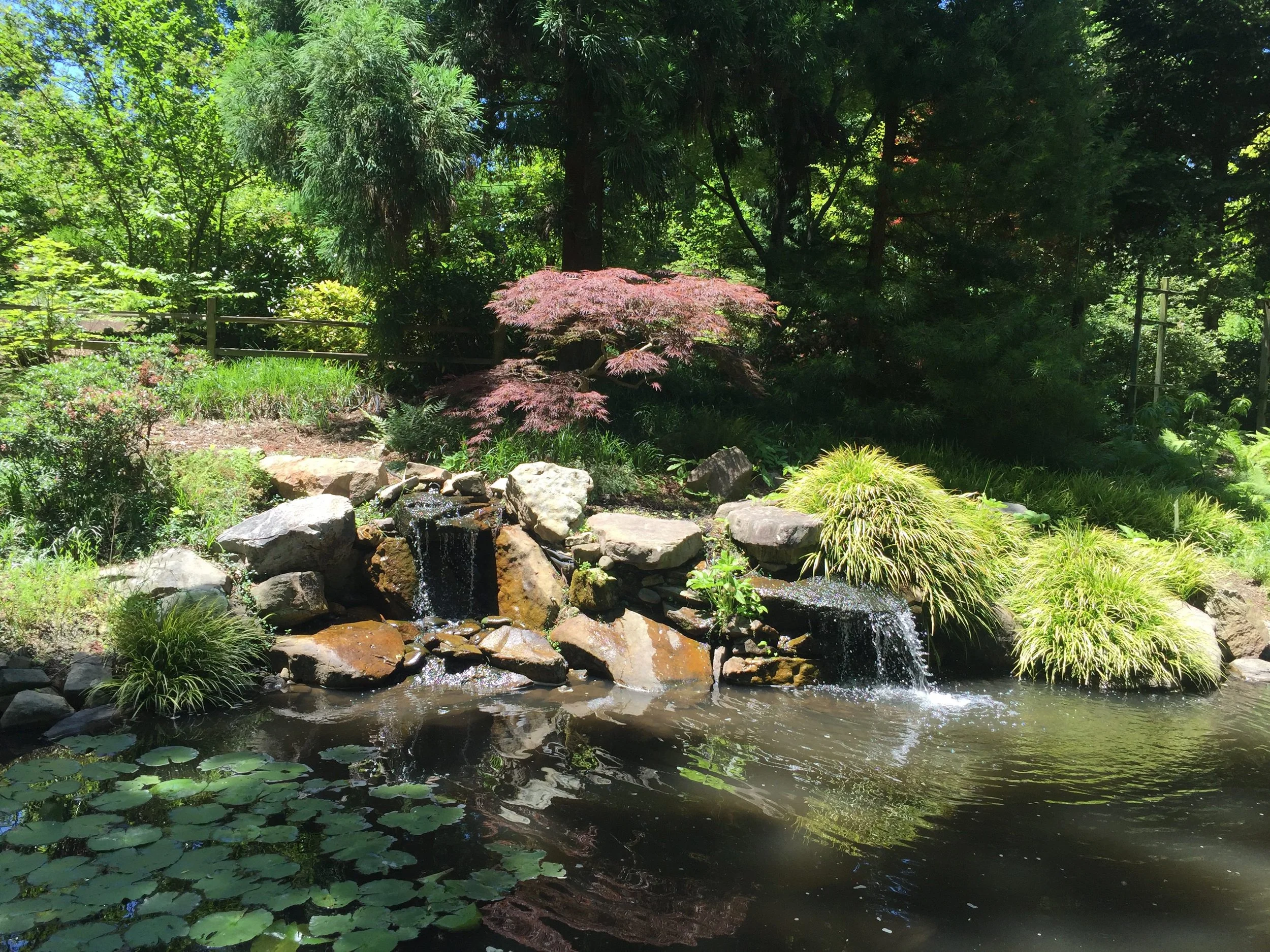 Gibbs Garden Trio 5 x 7 in $65 (includes 3 framed photos)