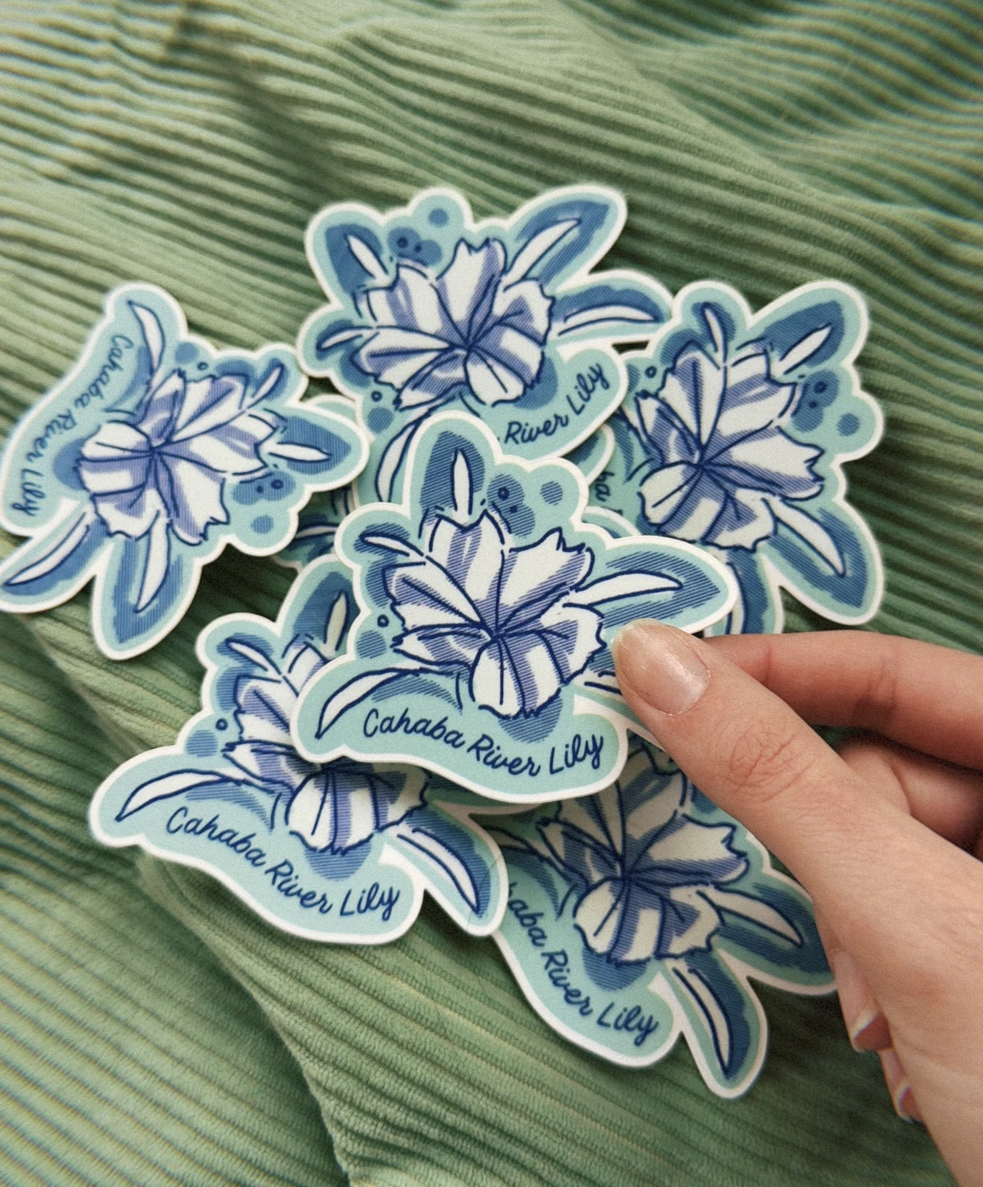 Cahaba River Lily — 3×3 Sticker | Alabama Watershed Series