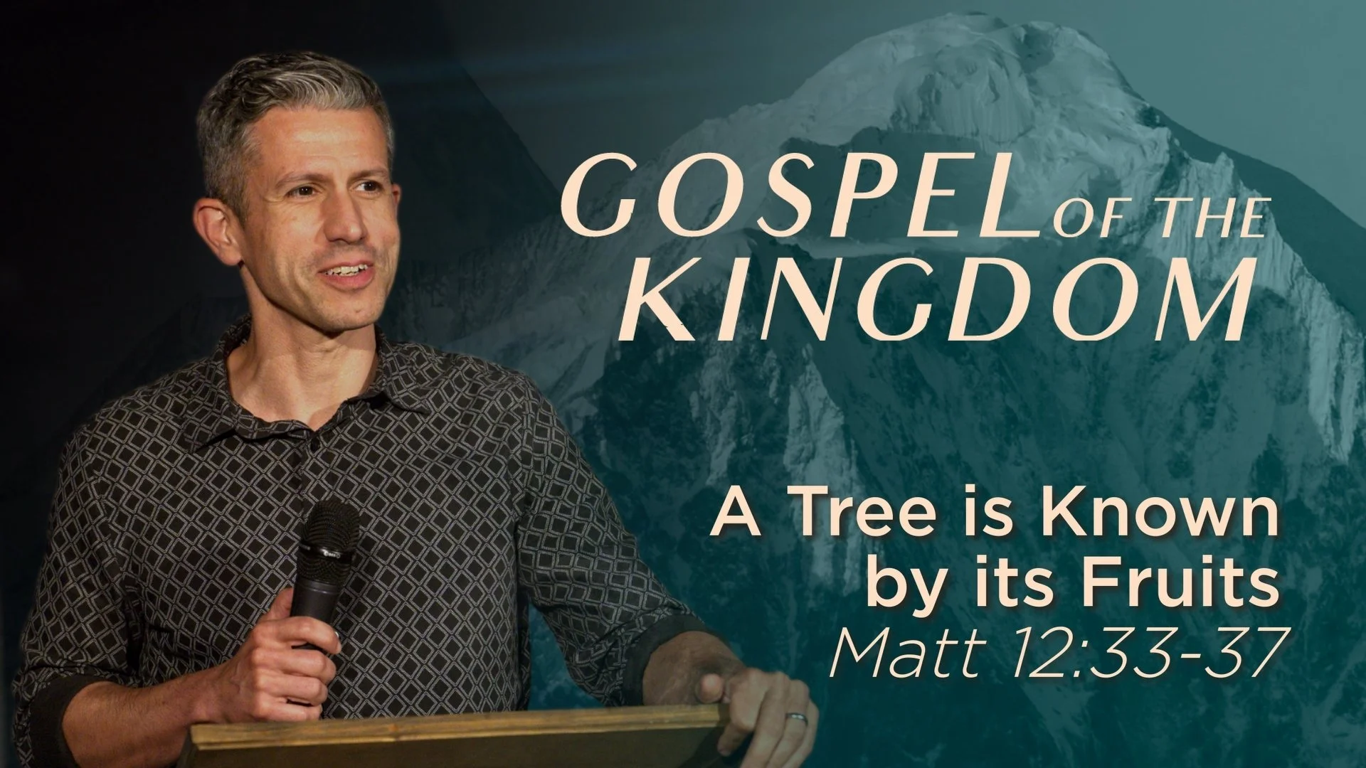 A Tree is Known by its Fruit