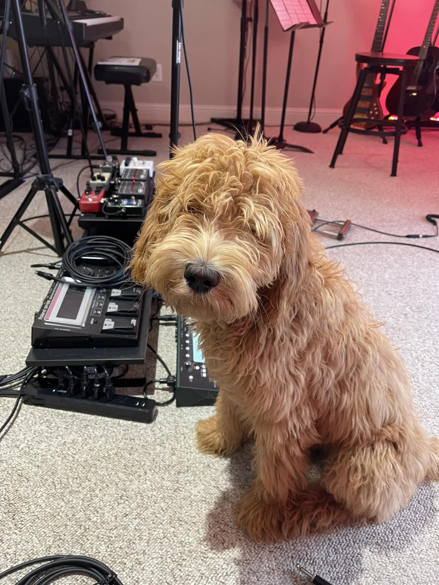 Studio with Madison 2.jpg