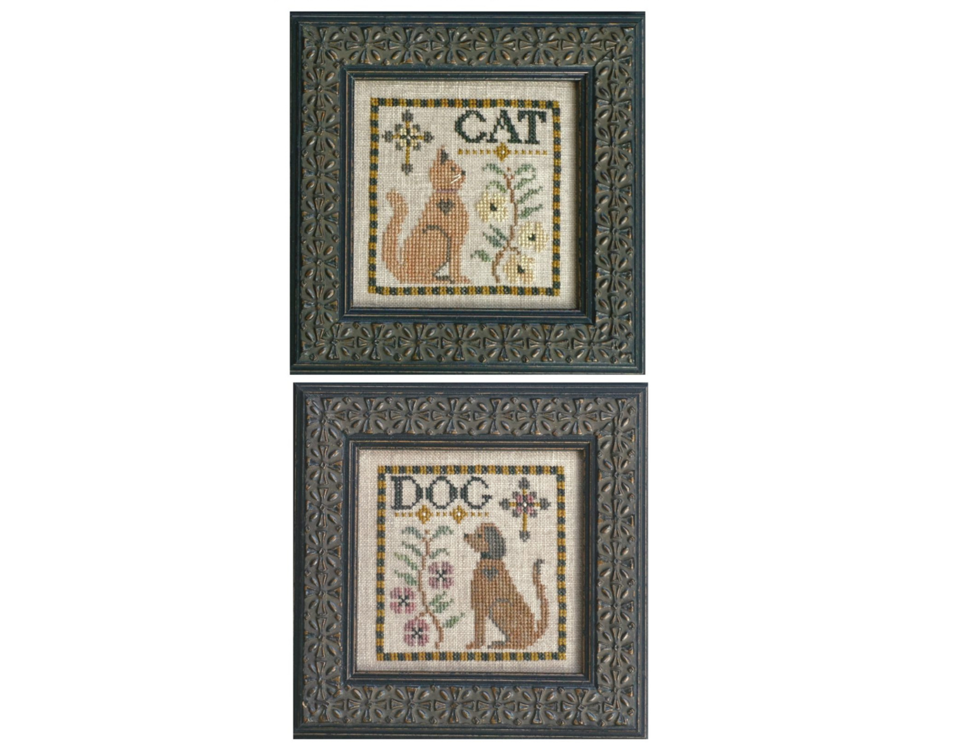 Cat and Dog