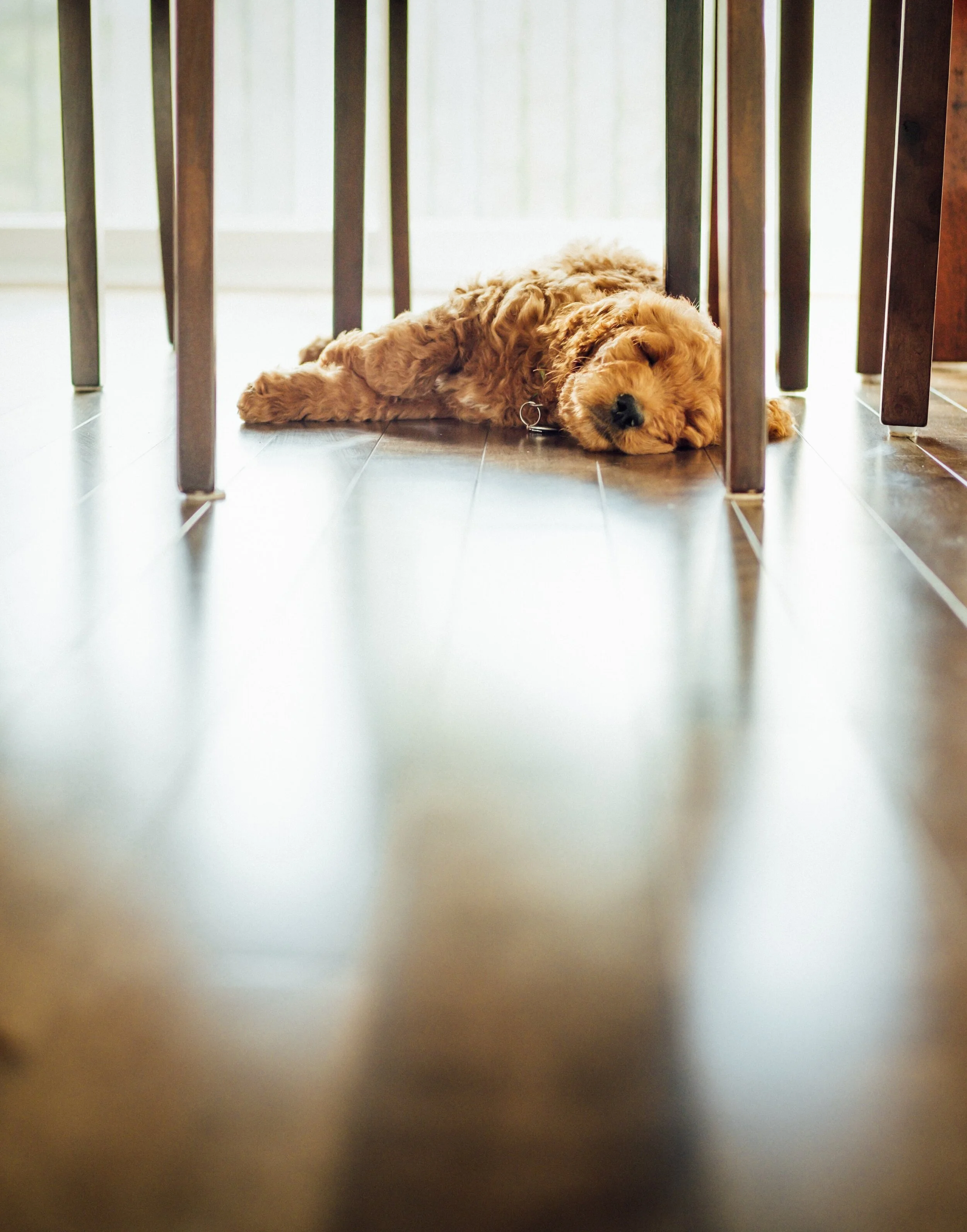 Boost Your Productivity with More (&amp; Better) Rest