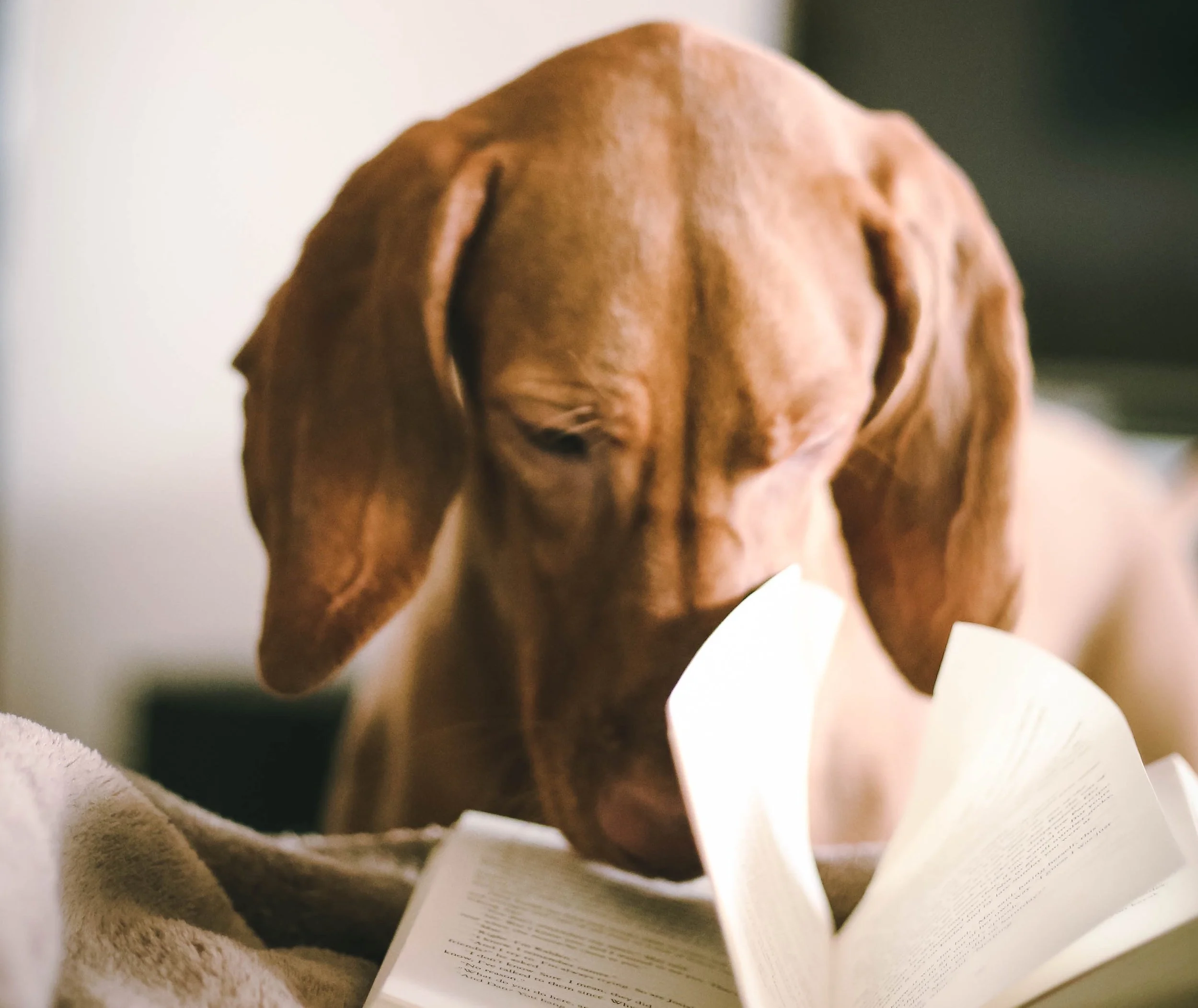 A Business Book That’s Not Lame