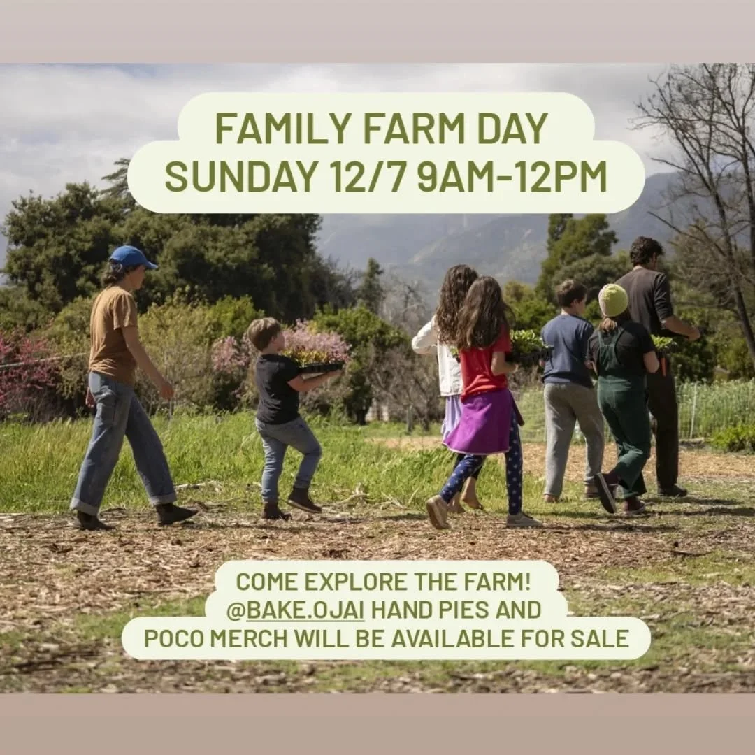Come visit the farm this Sunday between 9am-12pm! 
Stockbridge lane, Ojai

Photo by @liampickhardt
