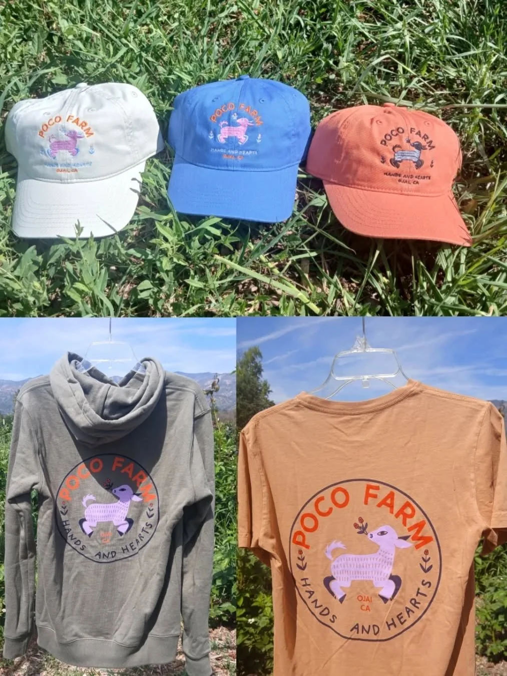 Next Sunday, 3/5 we will be having our monthly Family on the Farm Day between 9am-12pm. It is a great chance to come out to wander and explore the farm. 
We will also have our new merchandise available which includes hoodies and new colors of our hat