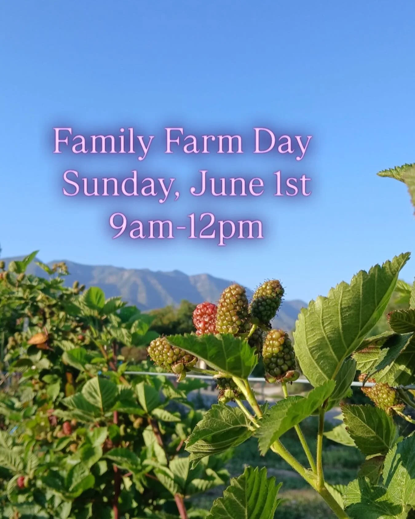 Join us tomorrow, Sunday, June 1st from 9am-12pm for Family on the Farm Day!! 
It&rsquo;ll be the last Family on the Farm Day before summer begins! 🌞 @bonitocoffeeroaster will be set up to sell coffee, and we will have baby goats to see, blackberrie