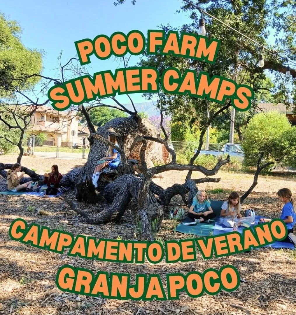 We are offering 2 weeks of summer camp at Poco Farm! The first week is June 16-20th , and the second week is June 23-27th. The second camp will be held in Spanish to increase access to Spanish only speakers. 

Sign ups at pocofarm.com/camp2025-1 for 
