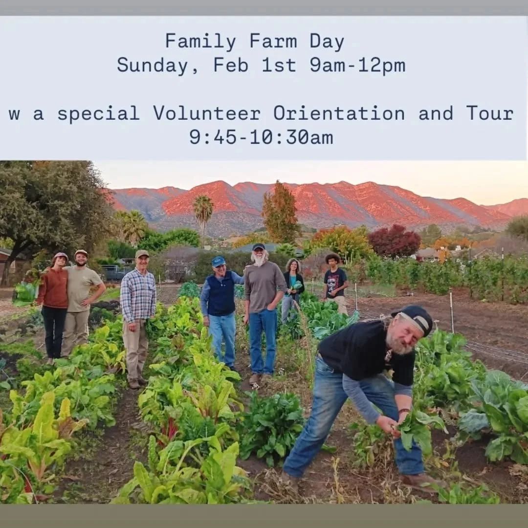 Join us this Sunday for Family Farm Day!
February 1st from 9am-12pm. 

Featuring a special Volunteer Orientation and tour with our newest team member and Garden Steward Georgia Schreiner. Our Volunteer Program is super fun and it&rsquo;s a great plac