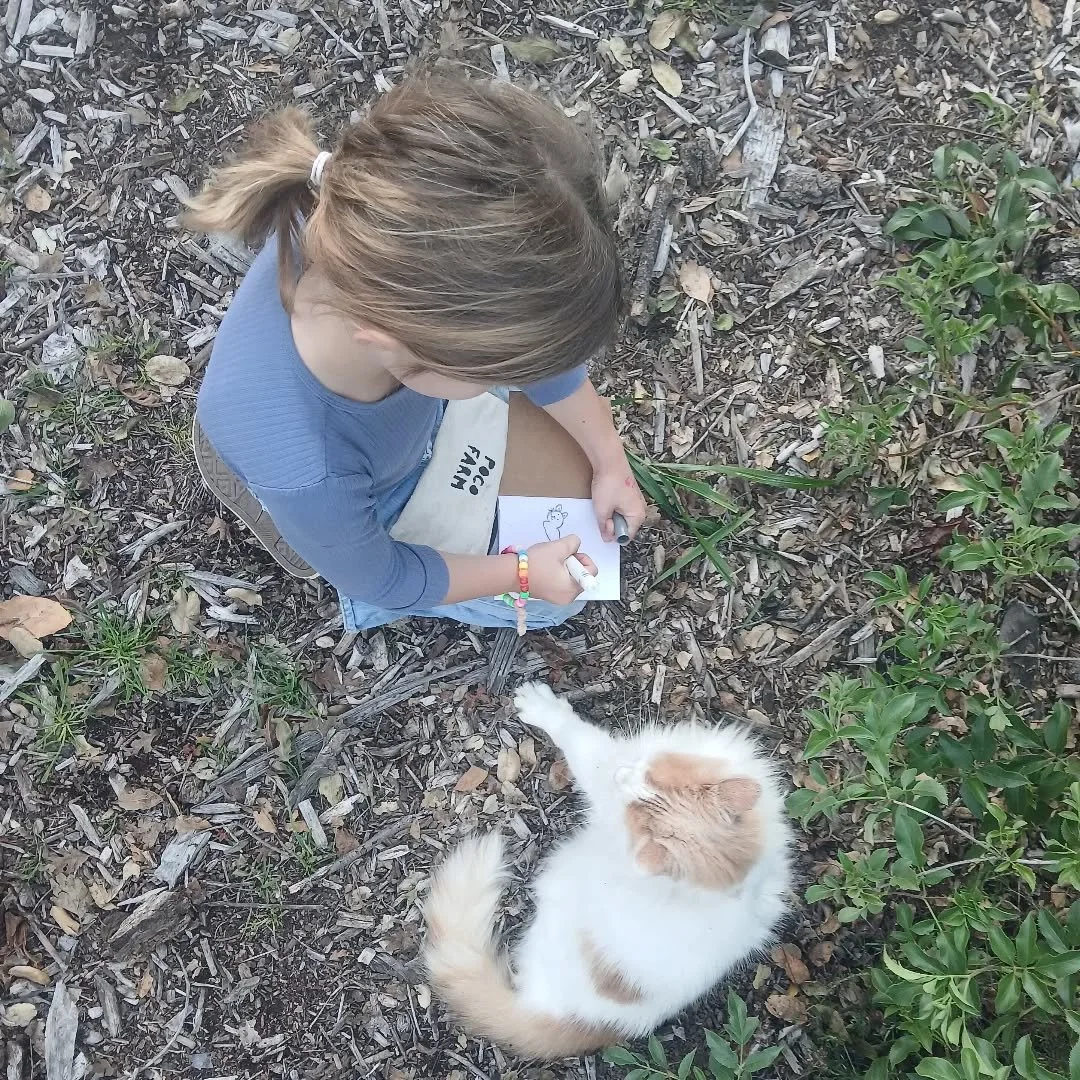 We prioritize time for art during our Ojai Unified School District after-school program. Here, one of our learners works on a portrait of our kitty Milton. 

As a reminder of some of our other programs, we have Volunteer Hours at the farm every Tuesd
