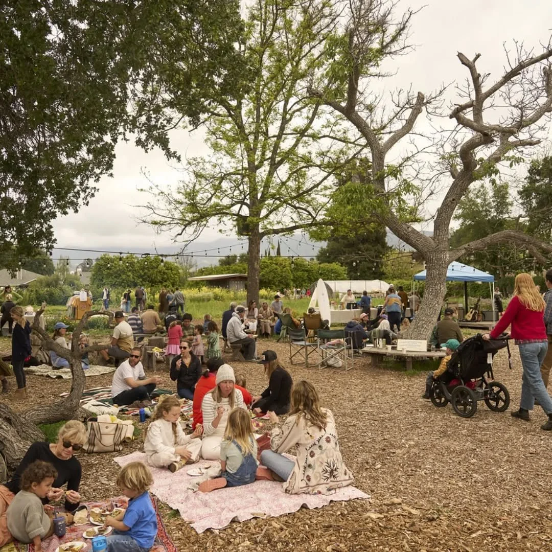 FAMILY FARM DAY SUNDAY 5/3, 9am-12pm. Join us for our open farm morning. Have a picnic, explore the farm, sit on the tractor, meet the goats and chickens, and so much more! 🐐🐓🚜🌳
We will be selling our Poco merchandise (which is also available at 