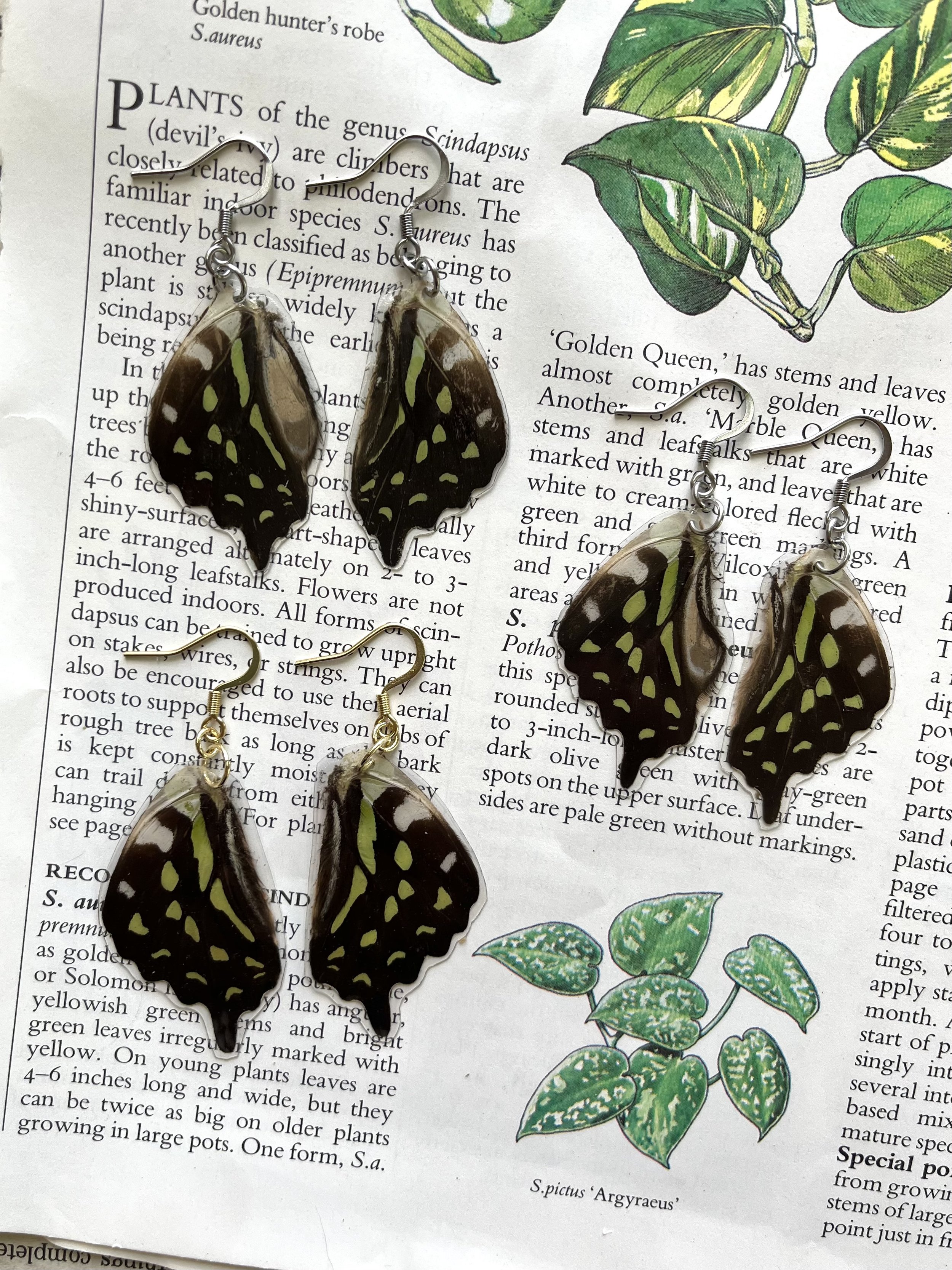 Green Beauties -Bottom Wing