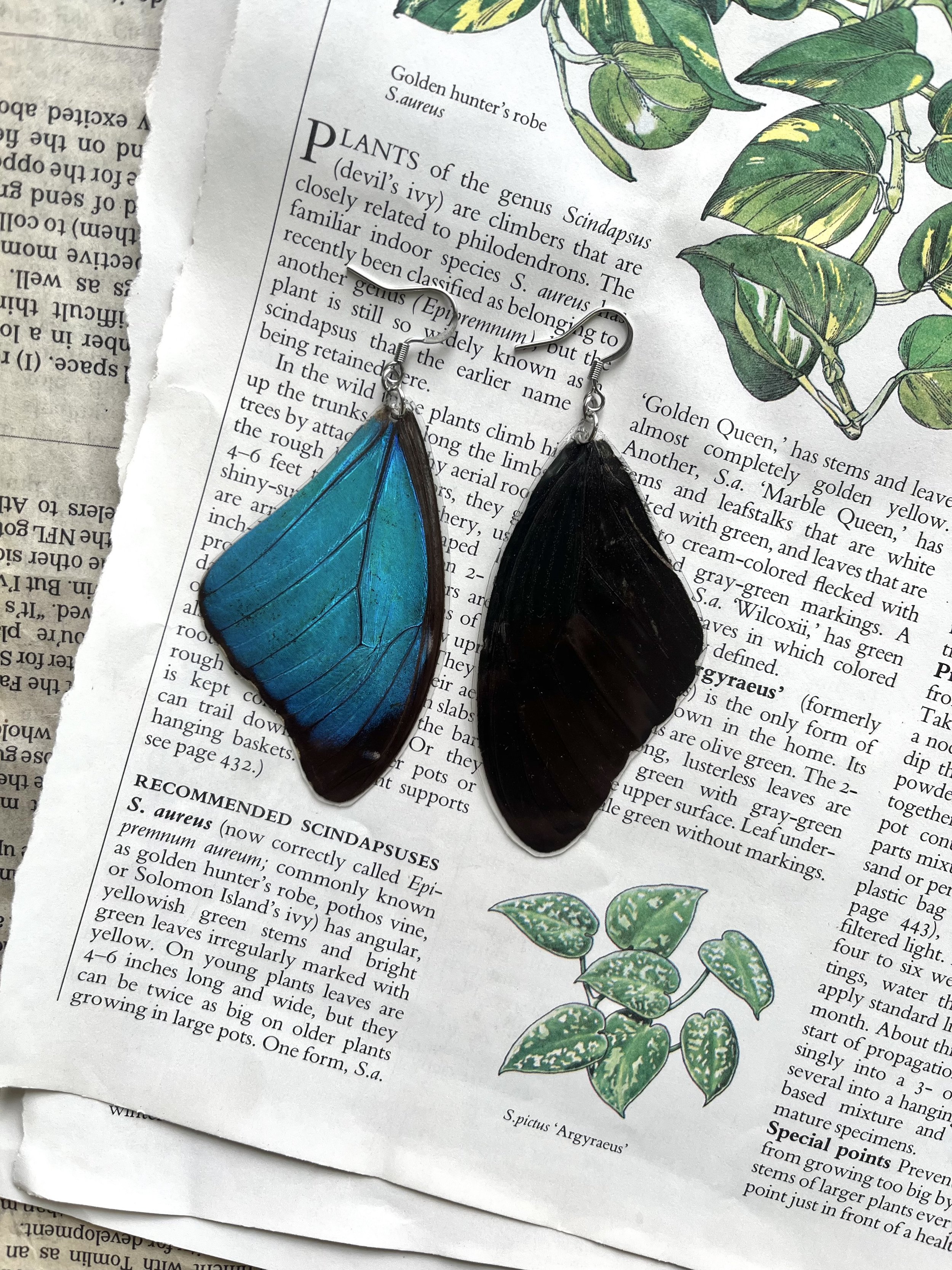 Night Fae Butterflies