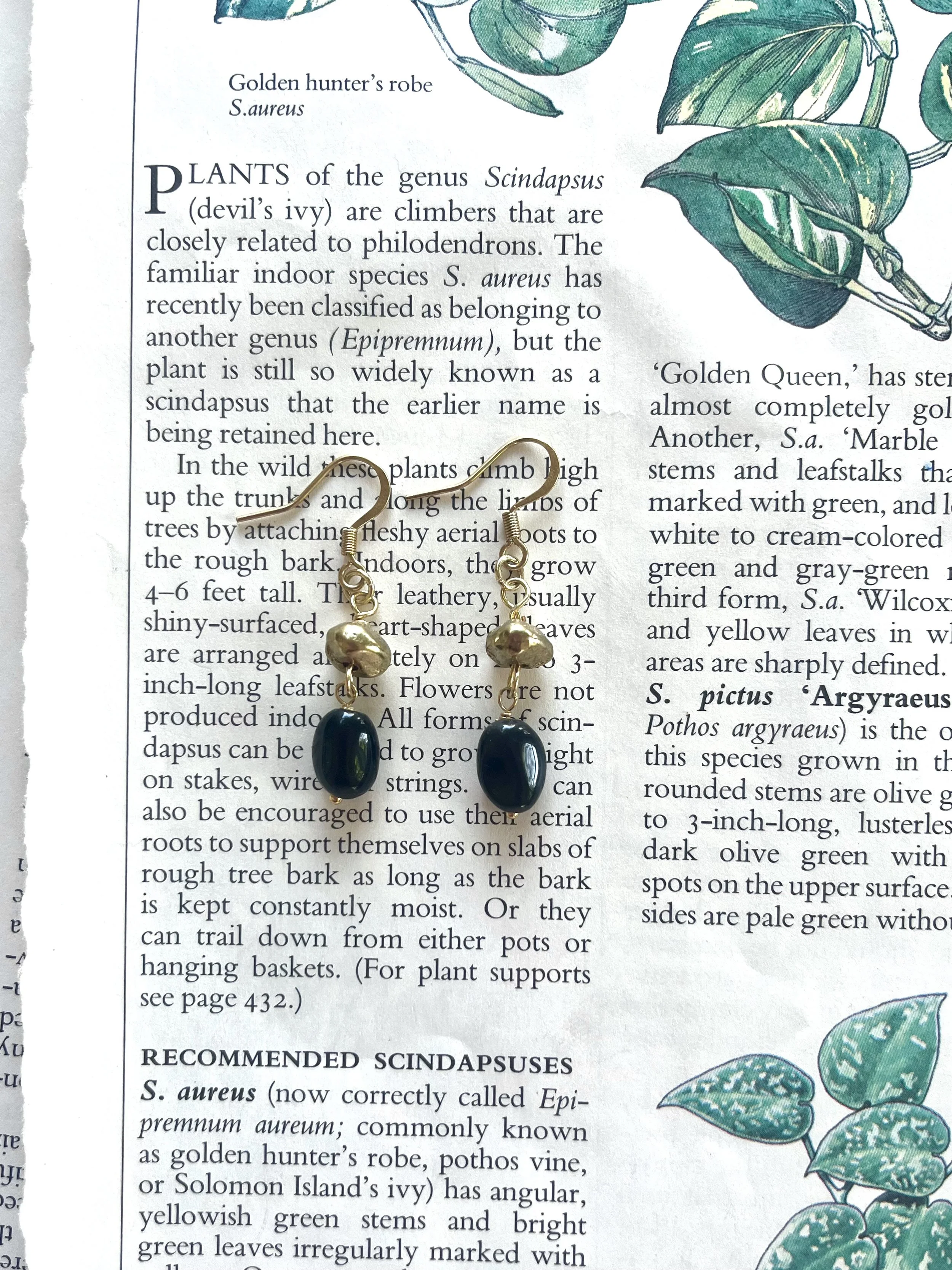 Brass & Black Tourmaline Baby Tears