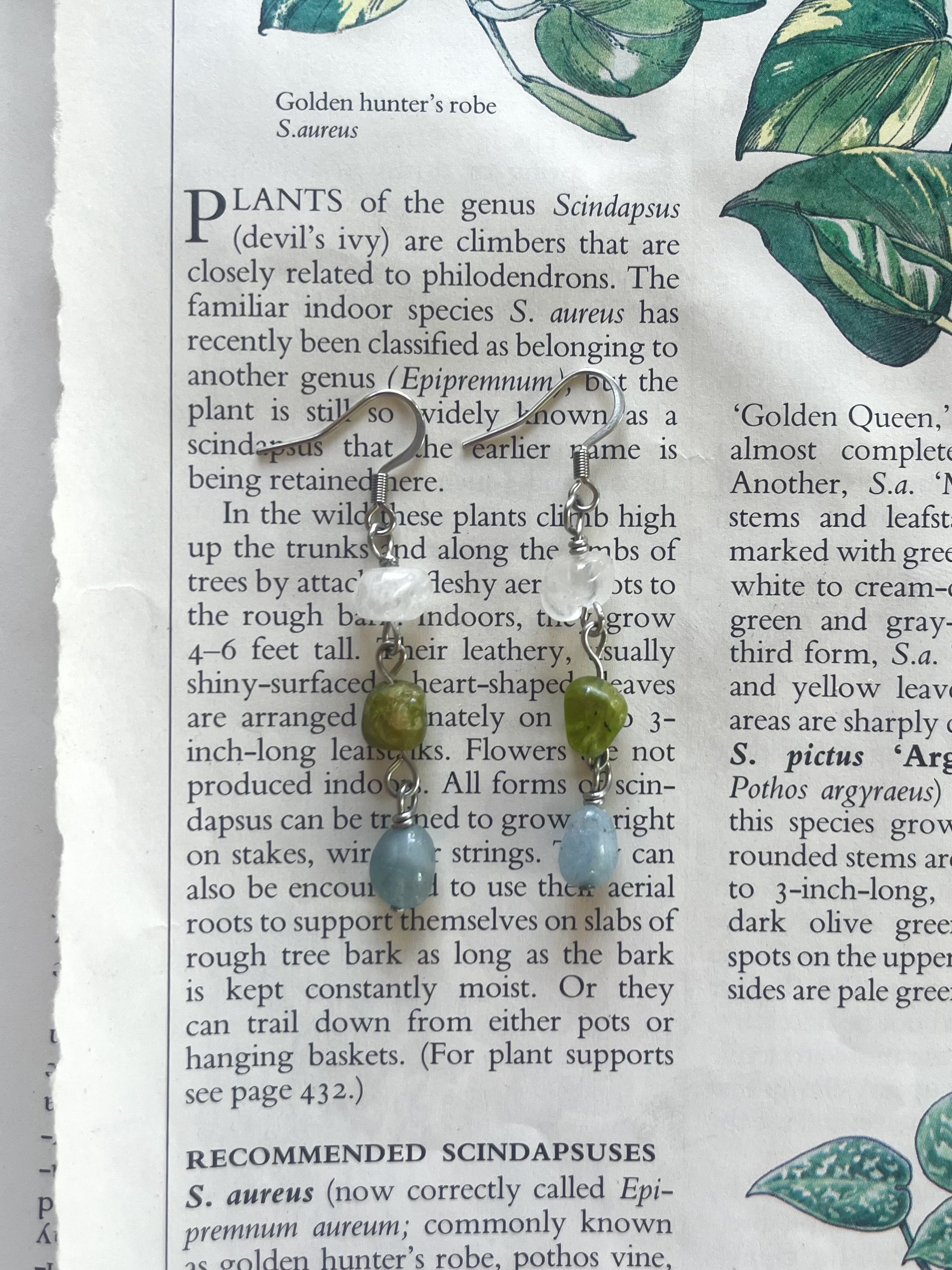 IMG_9044.jpeg