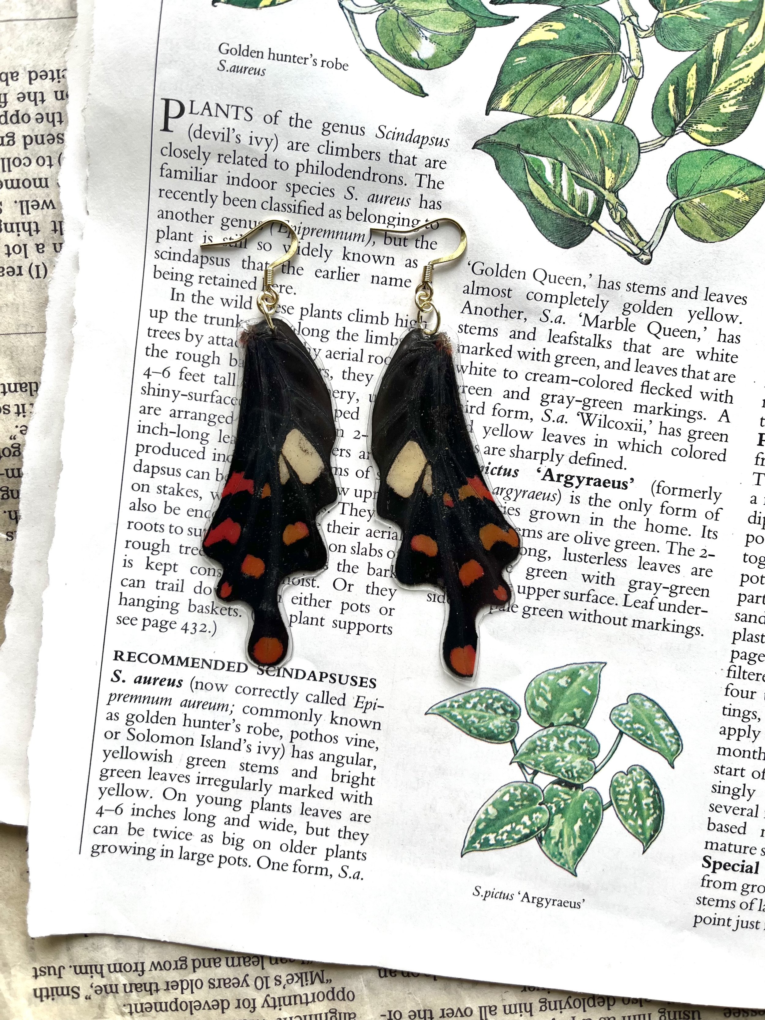 Ember Butterflies
