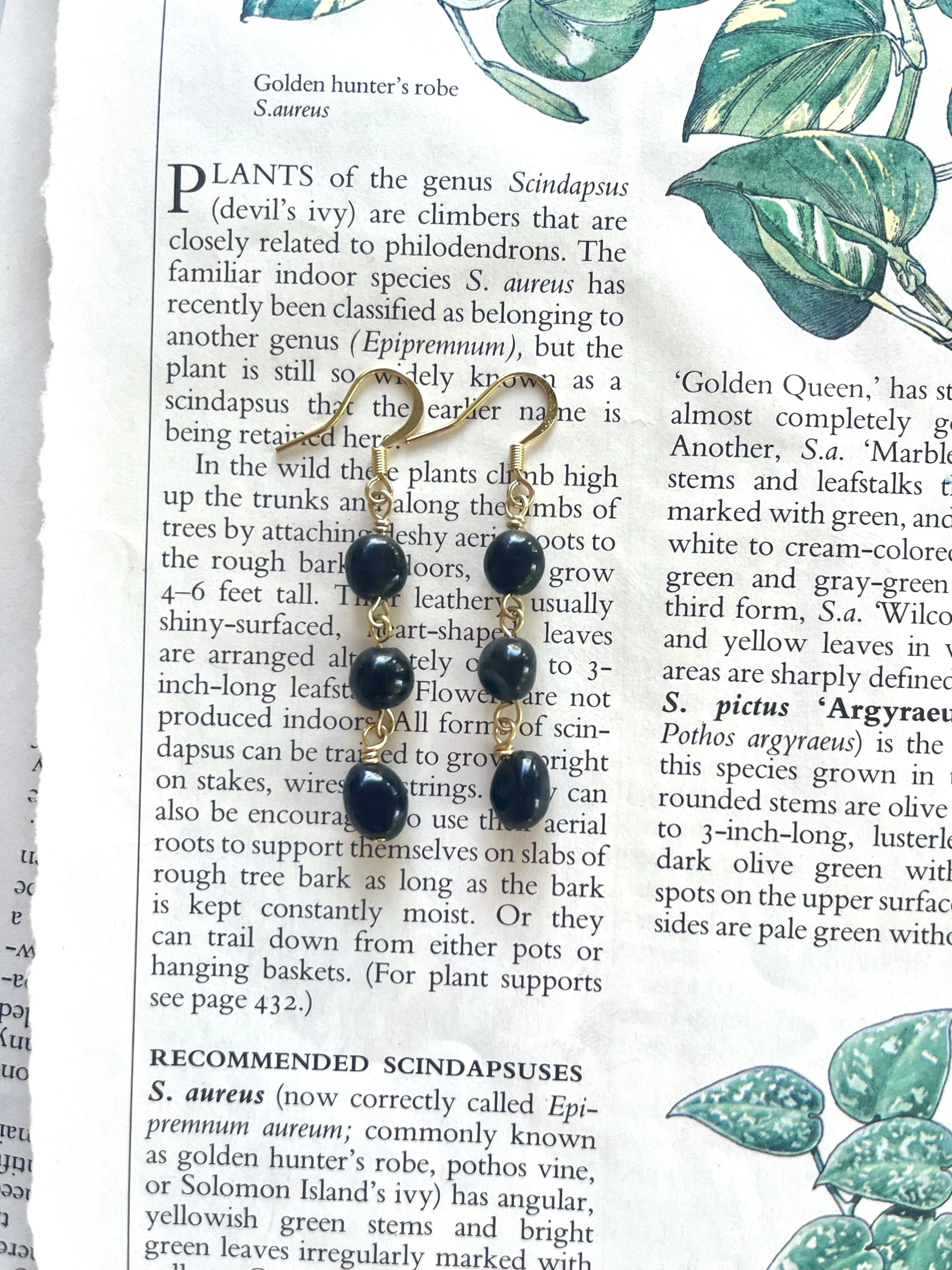 Black Tourmaline Tears