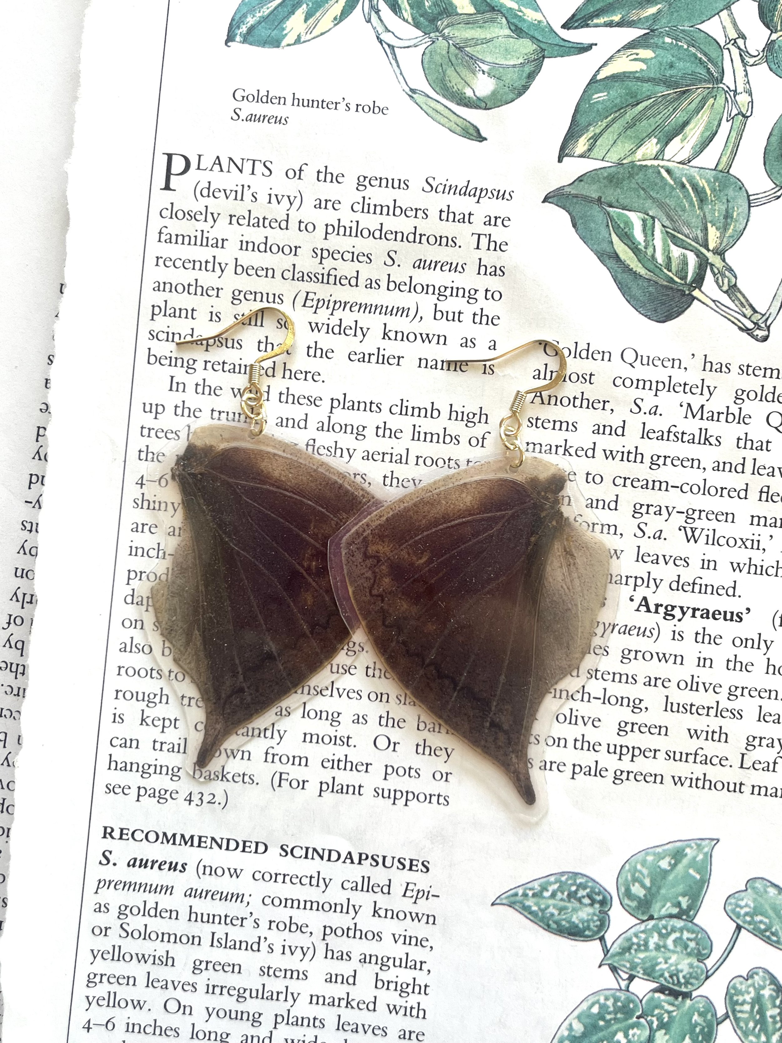 Moth Wings #3