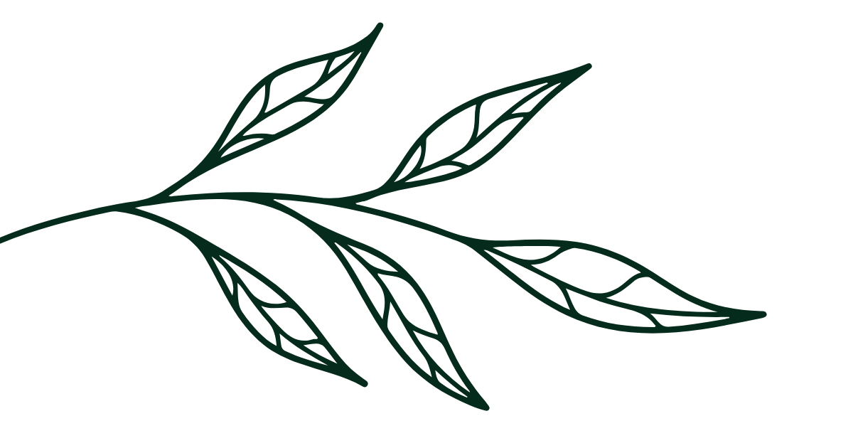 Line drawing of a branch with four leaves on a black background.