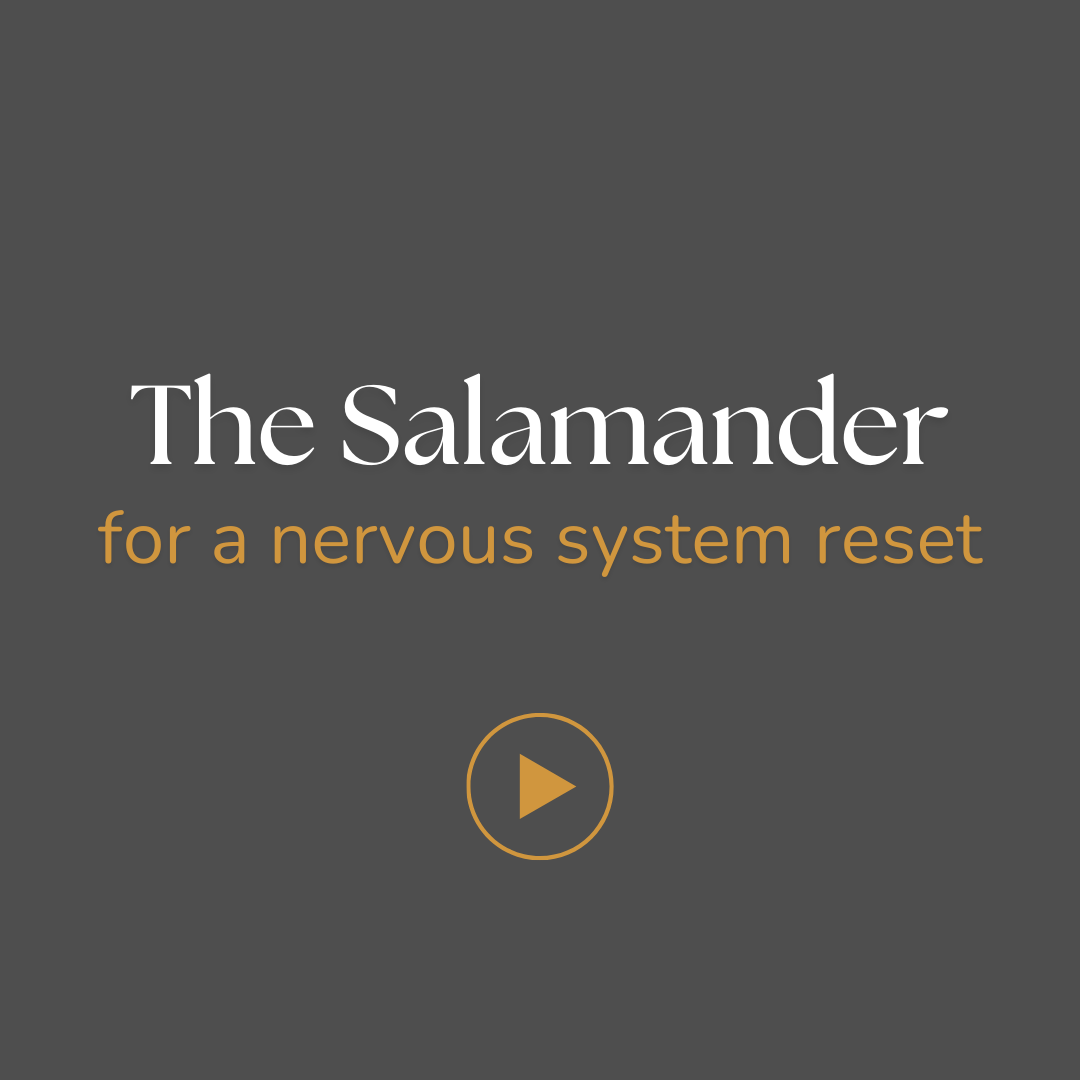 A nervous system reset: the salamander