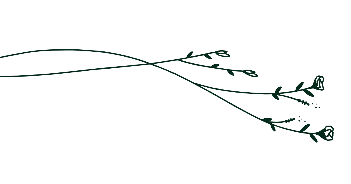 Line drawing of two small flowers on curved stems with leaves, resembling simple botanical illustration.