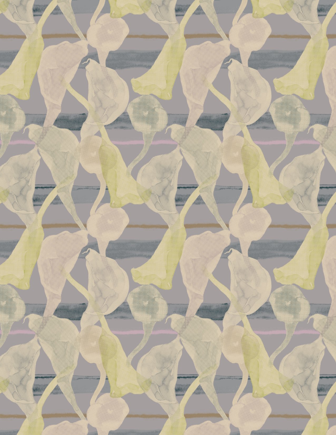 Portfolio_TransparentLily_8.5x11_150dpi.jpg