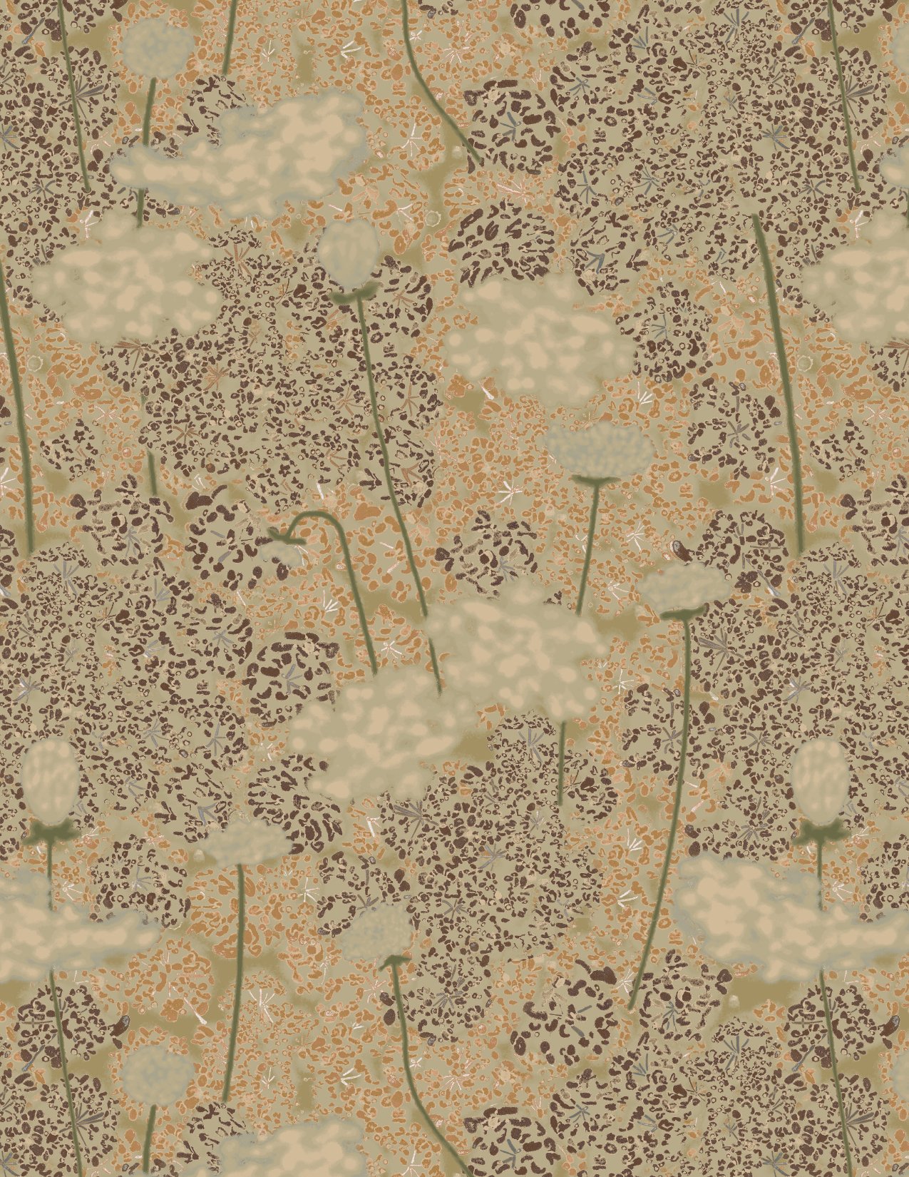 Portfolio_QueenAnne_8.5x11_150dpi.jpg