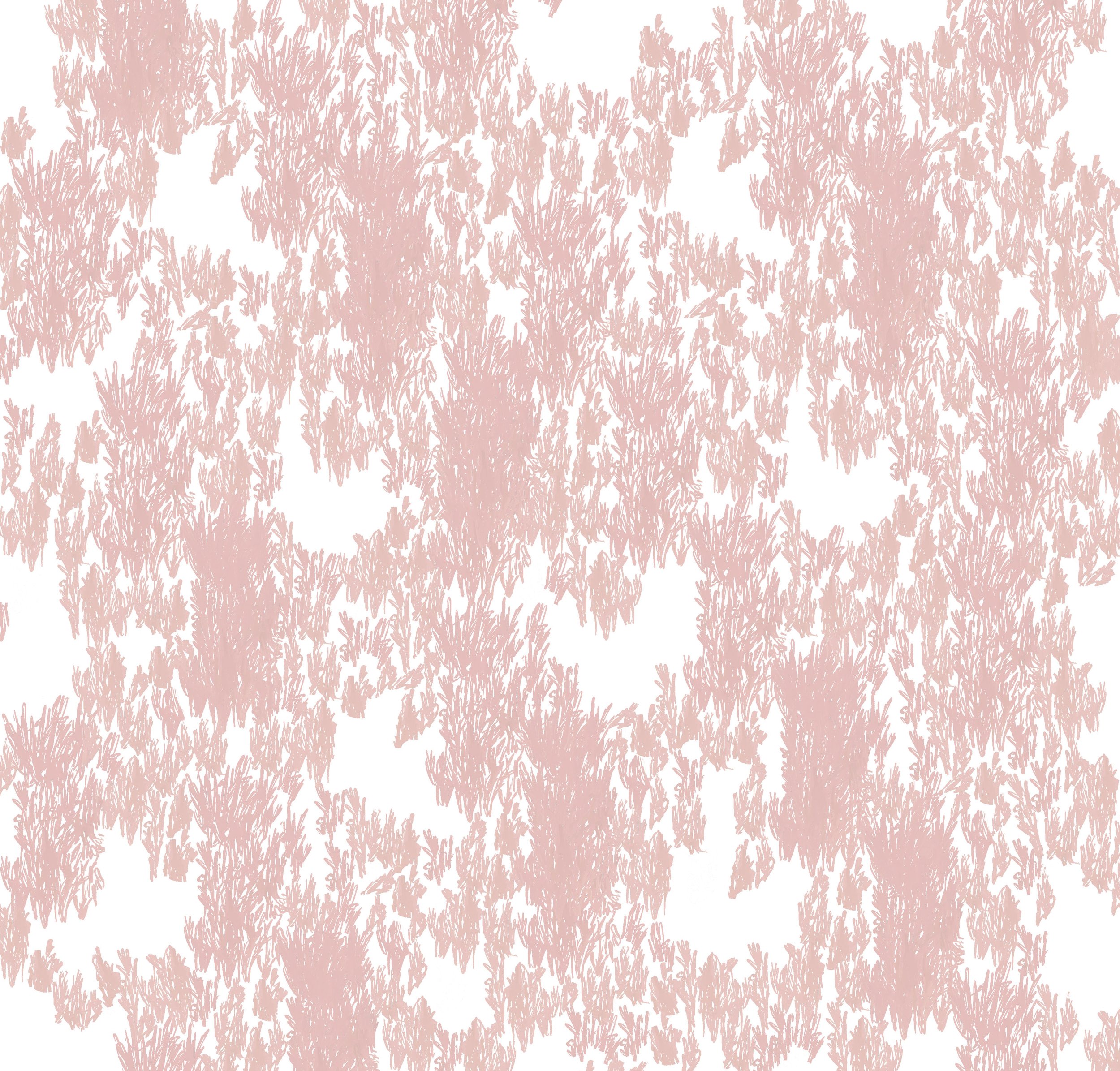 Adv Home Pr2 Reverse Colorway1.jpg