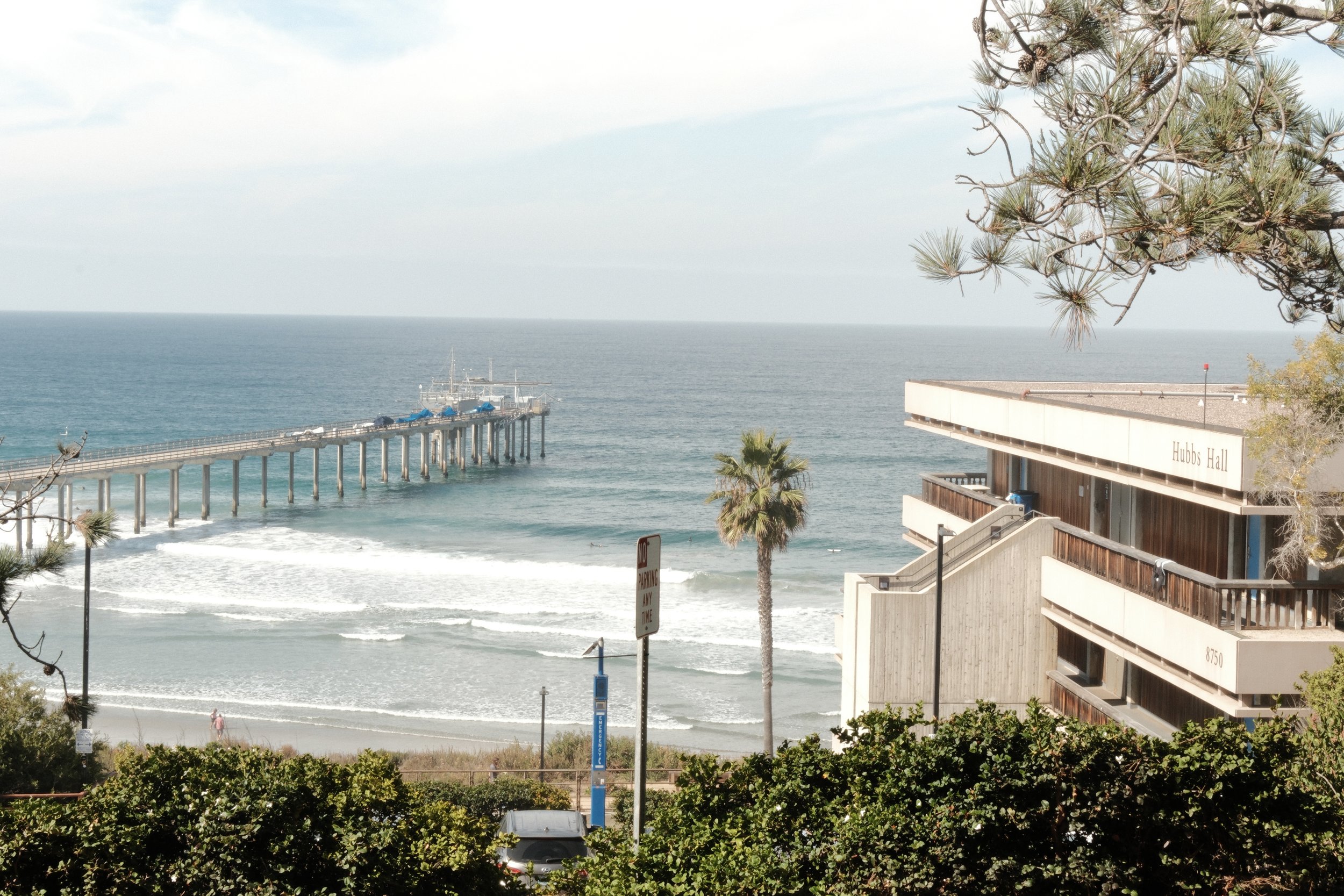 DSCF5576.jpg