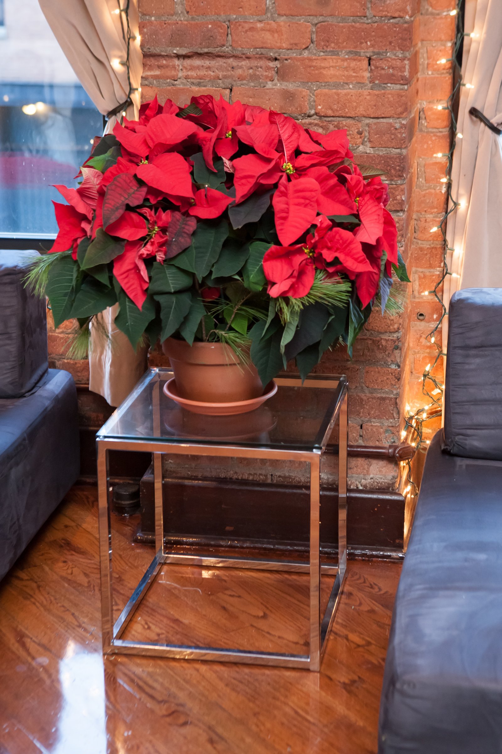 holiday-party-furniture-rental-nyc-8.jpg
